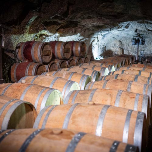 FABIEN-DUVEAU-domaine-vignoble-cave à vin et vin