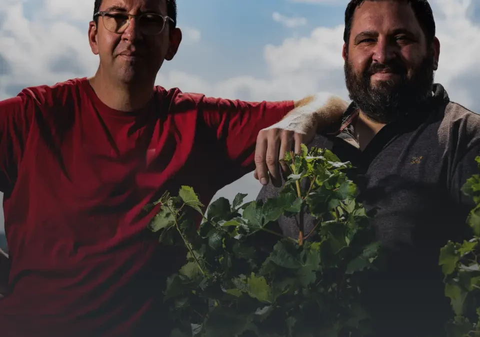 Domaine Anthony et David Girard