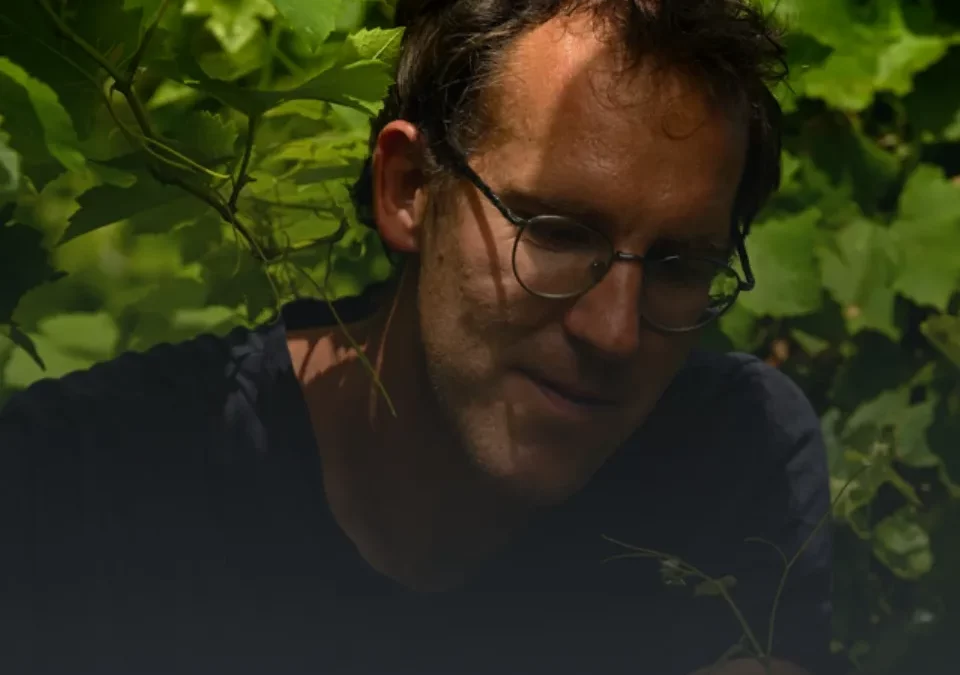 Domaine Martin Clerc