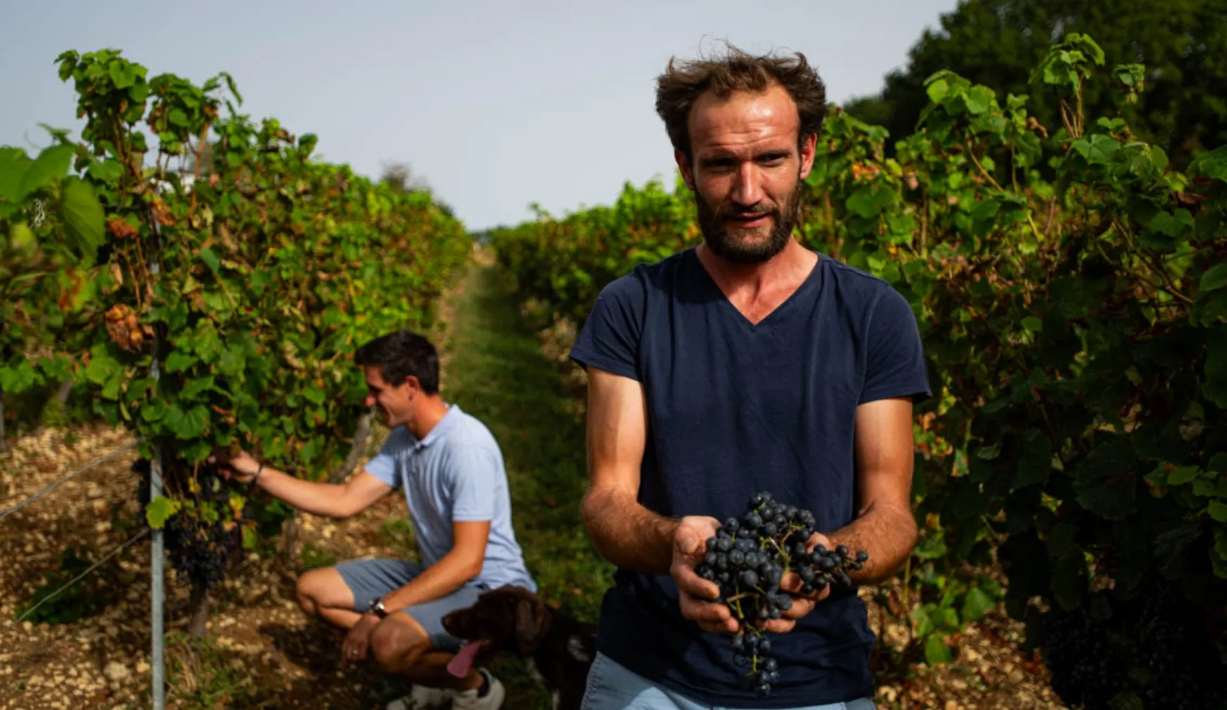 Domaine martin Clerc