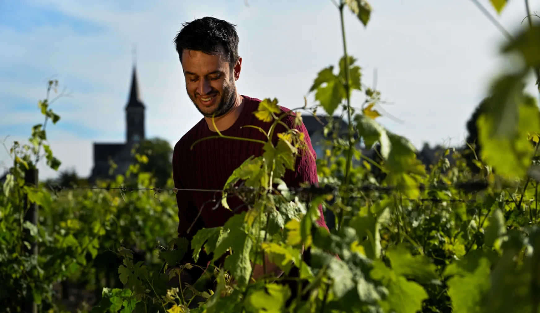 Domaine martin Clerc