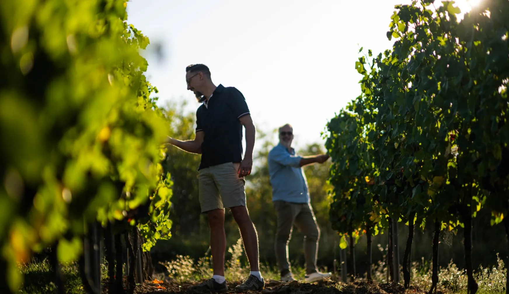 Domaine martin Clerc