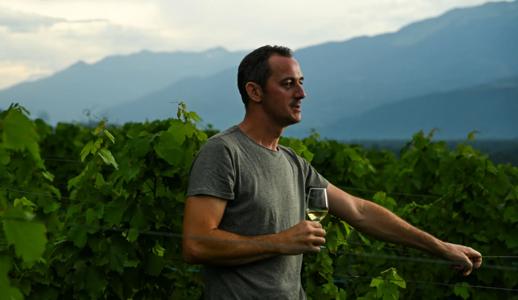 Domaine martin Clerc