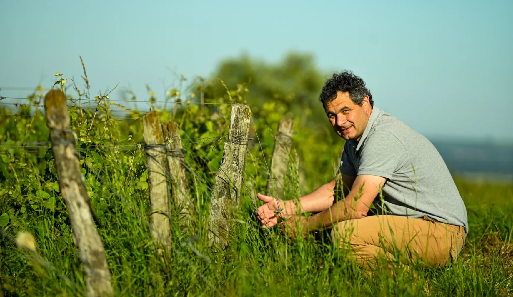 Domaine martin Clerc