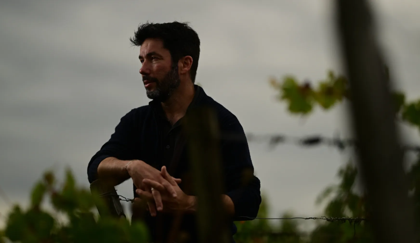 Domaine martin Clerc