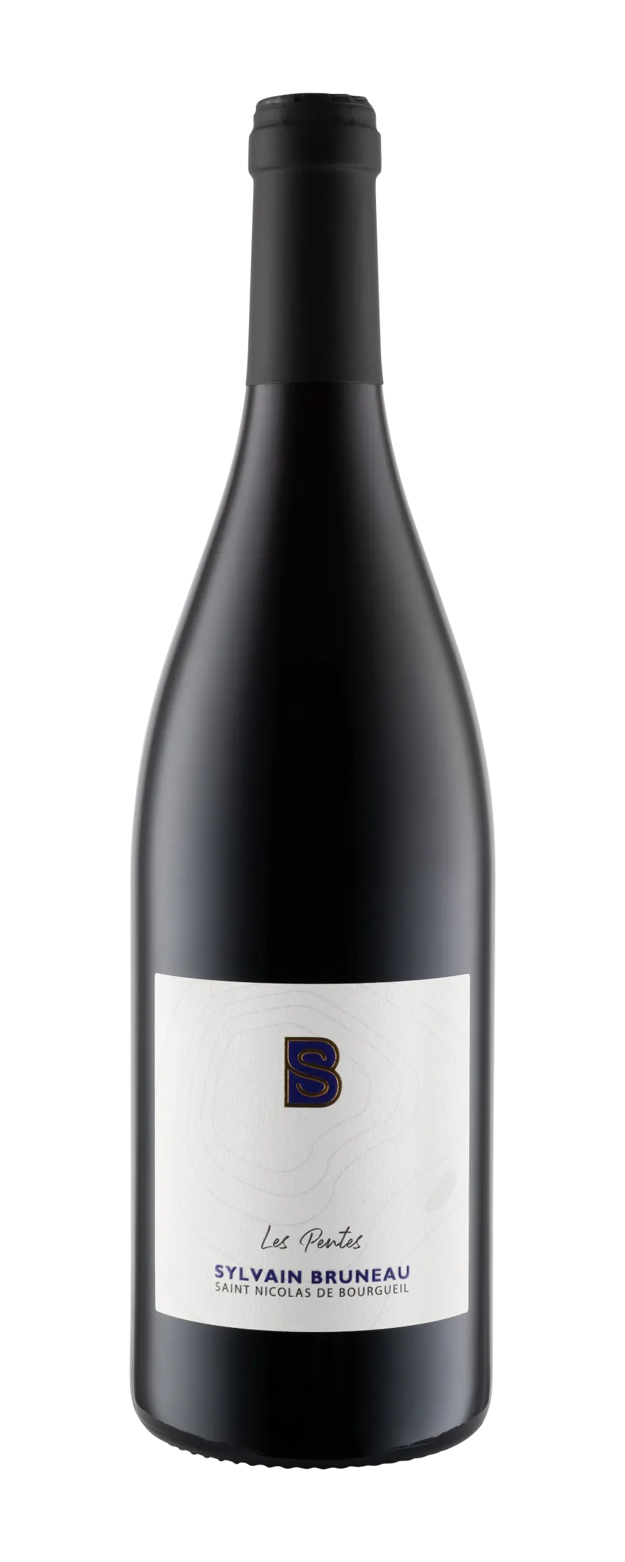 Domaine_Bruneau 302 AOP Saint Nicolas de Bourgueil LES PENTES