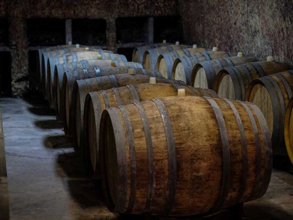 DOMAINE-VINCENT-RICARD cave à vin et tonneaux à vin